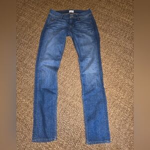 Hudson Jeans Women's Blue Skinny Jeans